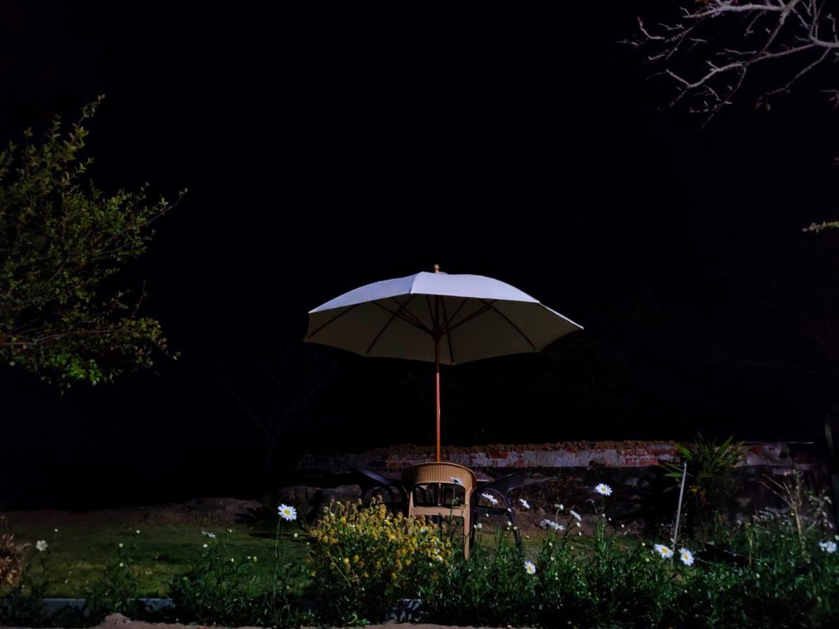 Forest Eco Lodge Mount Abu Exterior foto